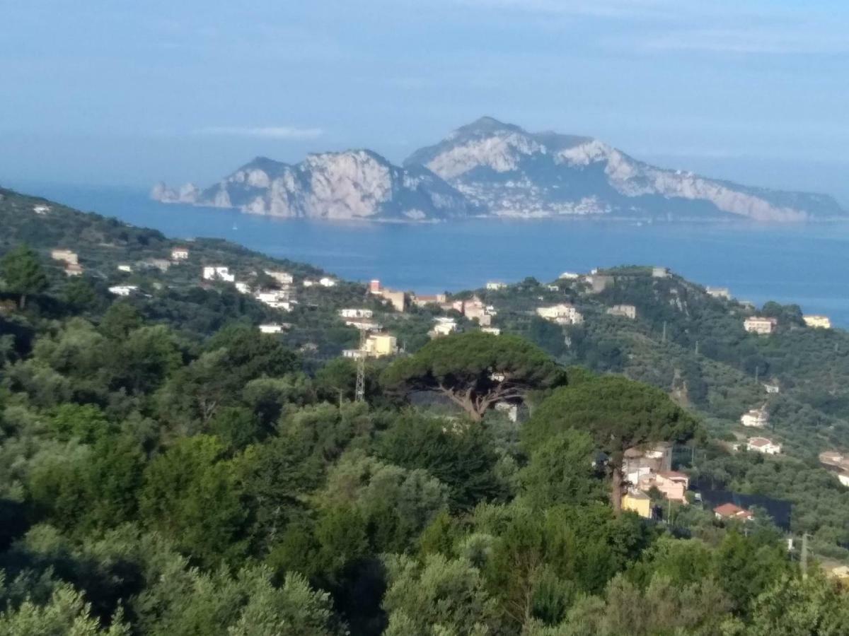 La Vista Sul Golfo Apartment Massa Lubrense Exterior photo
